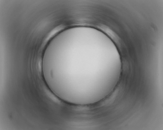 X0000114231238200910231457