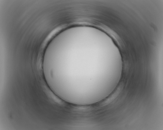 X0000114231240200910231457