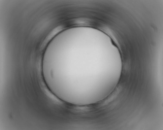 X0000114231243200910231457
