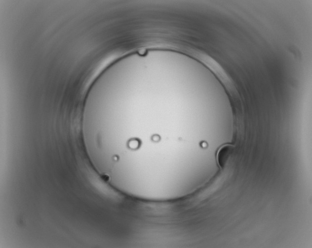 X0000114231244200910231457