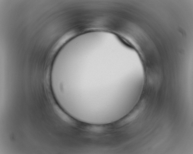 X0000114231245200910231457