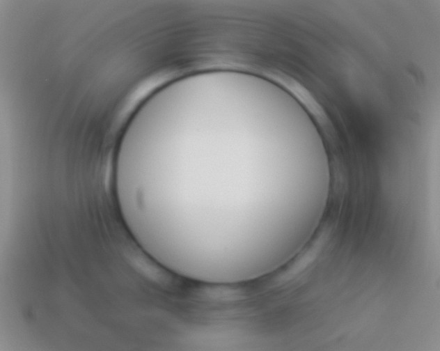X0000114231246200910231457