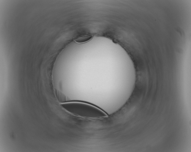 X0000114231249200910231456