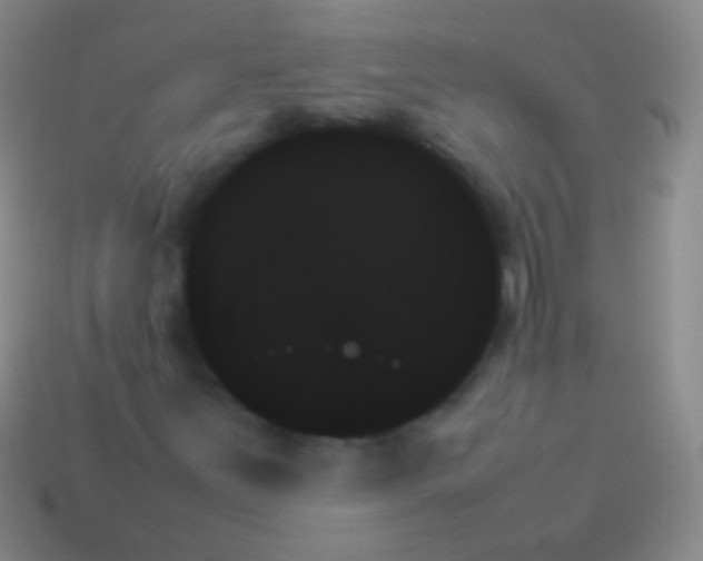 X0000114231251200910231456