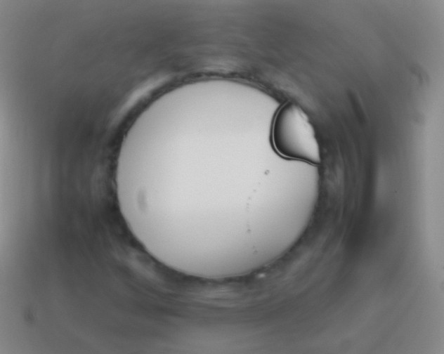 X0000114231256200910231456