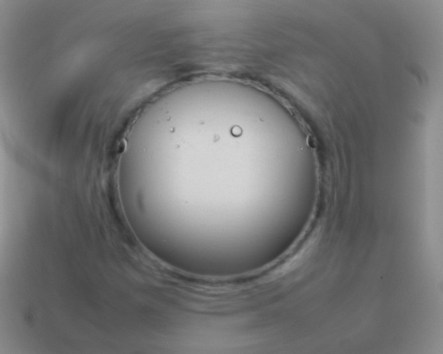 X0000114231257200910231456
