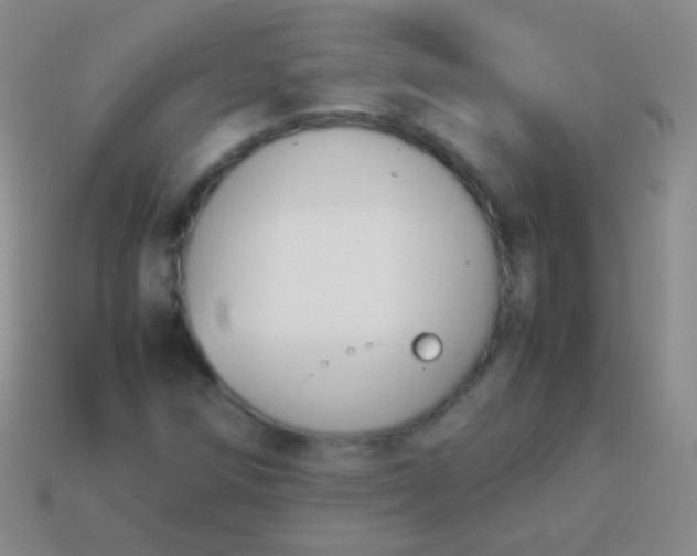 X0000114231258200910231456