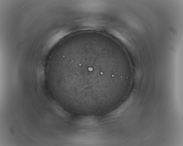 X0000114231259200910231456
