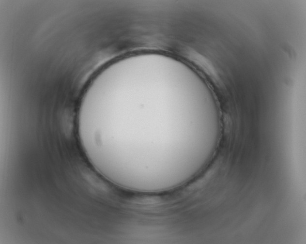 X0000114231260200910231456