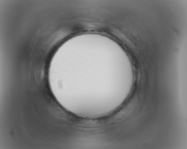 X0000114231261200910231456