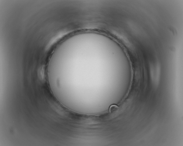 X0000114231262200910231456