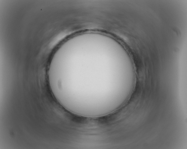 X0000114231263200910231456
