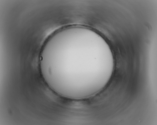 X0000114231264200910231456