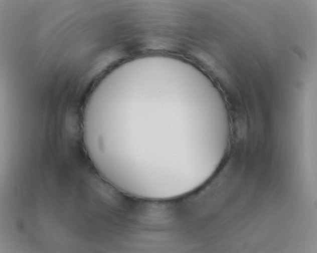 X0000114231266200910231456