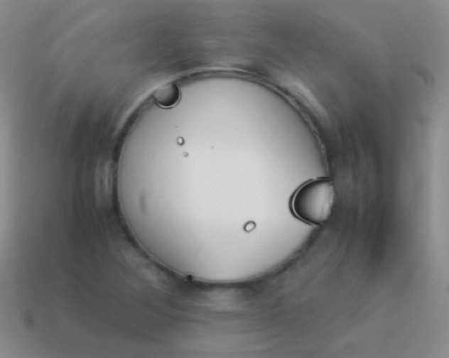 X0000114231268200910231456