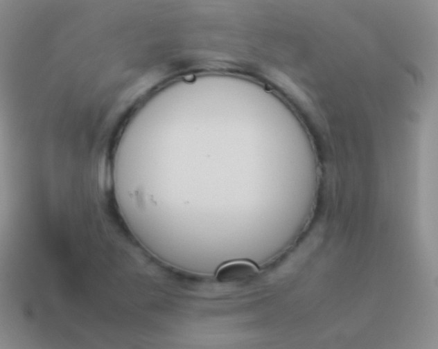 X0000114231269200910231456