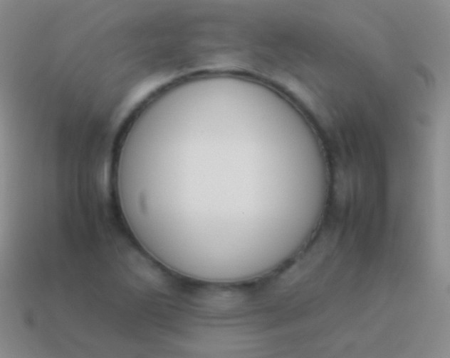 X0000114231270200910231456