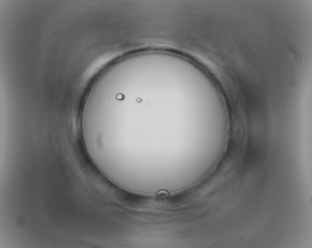 X0000114231271200910231456