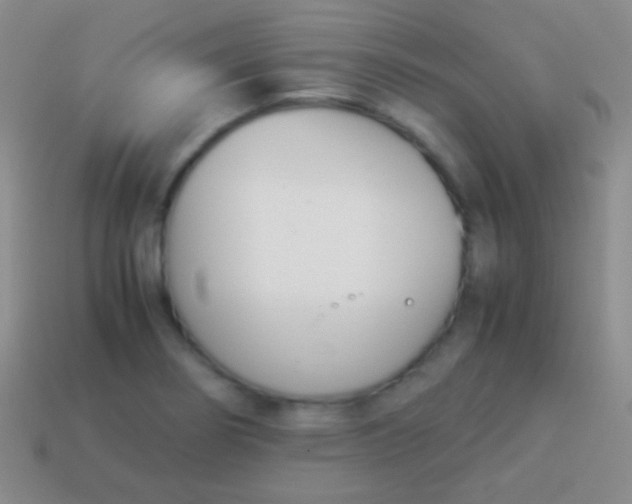 X0000114231274200910231456