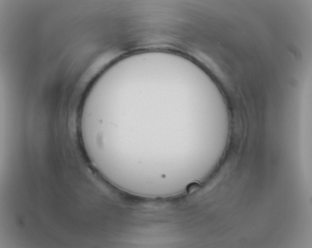 X0000114231277200910231456