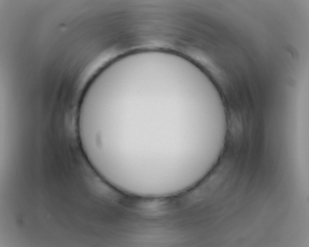 X0000114231278200910231456