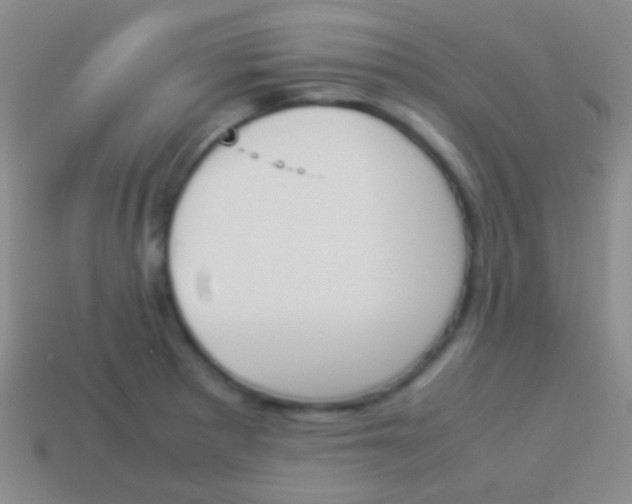 X0000114231281200910231456