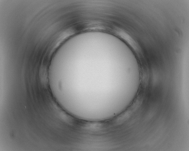 X0000114231282200910231456