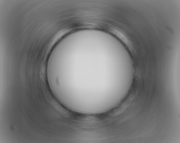 X0000114231283200910231456