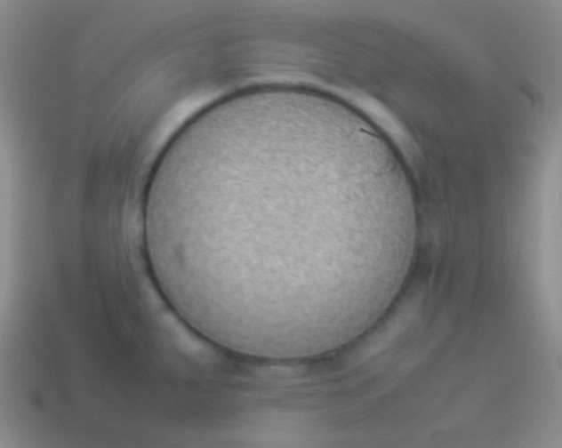 X0000114231287200910231456