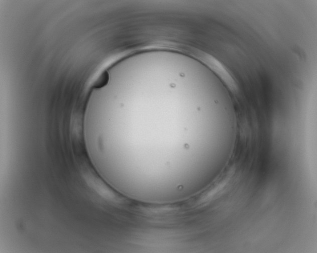 X0000114231292200910231456