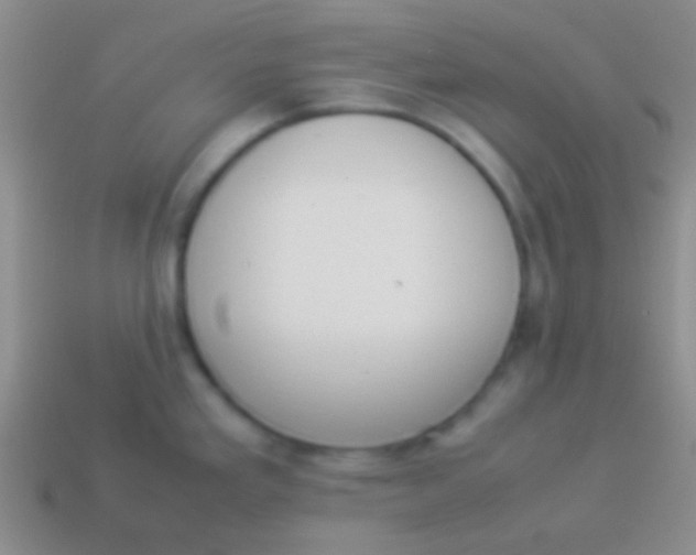 X0000114231293200910231456