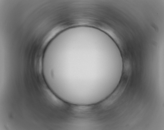 X0000114231294200910231456