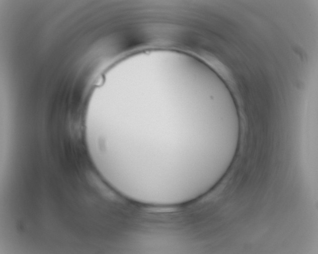X0000114231296200910231456