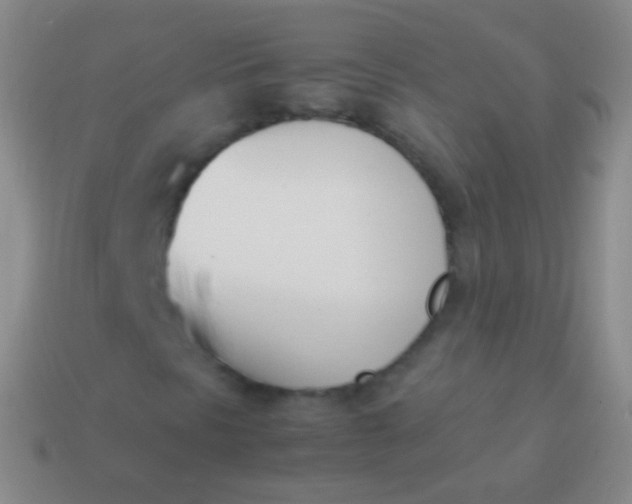X0000114231297200910231455