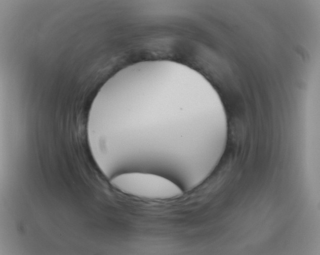 X0000114231298200910231455