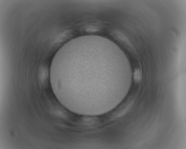 X0000114231299200910231455