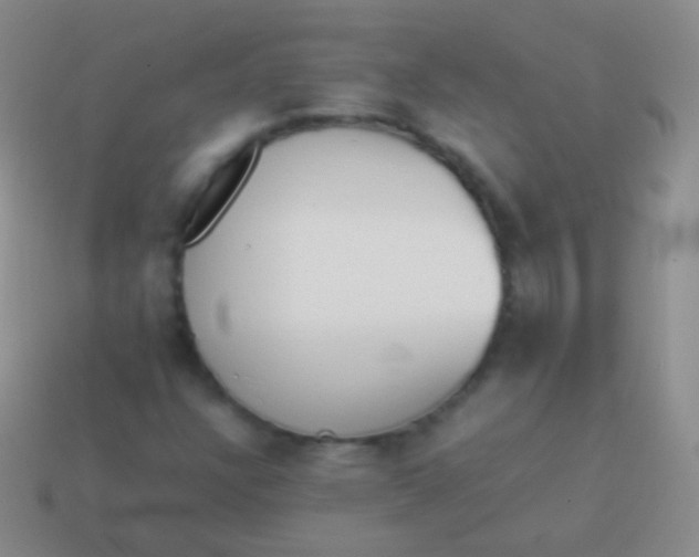X0000114231304200910231455