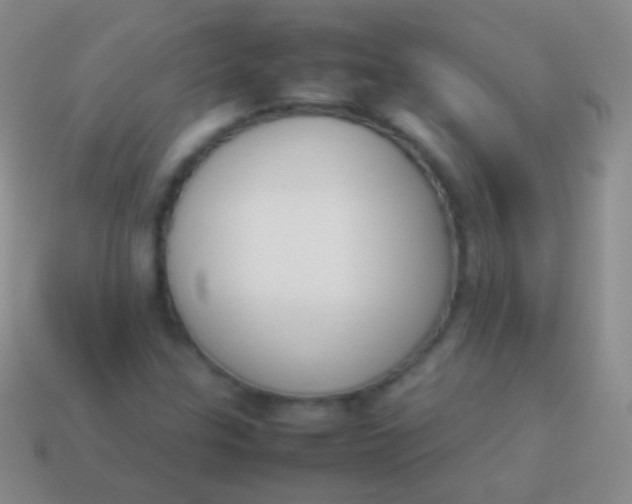 X0000114231307200910231455