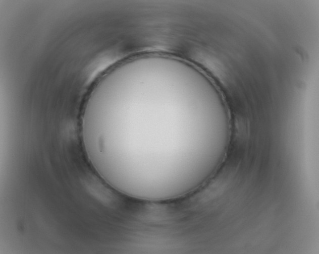 X0000114231308200910231455