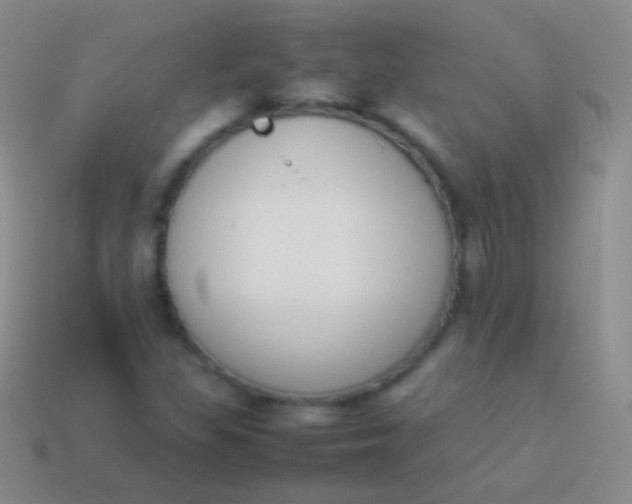 X0000114231309200910231455