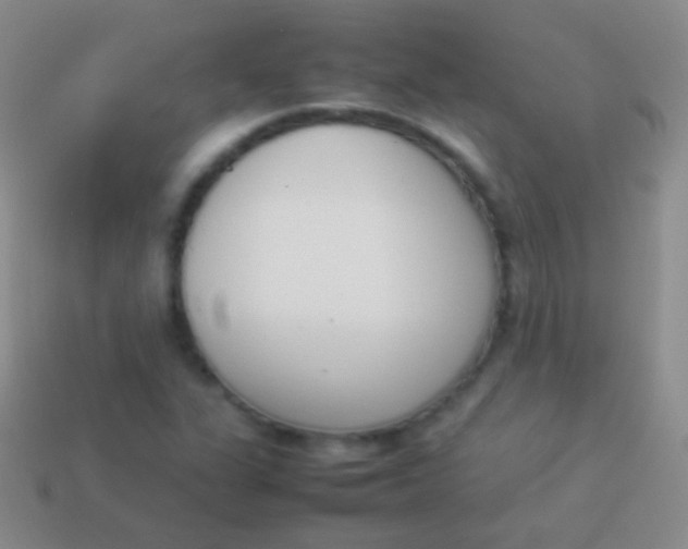 X0000114231311200910231455