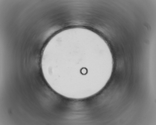 X0000114231314200910231455