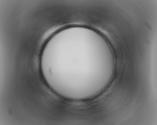 X0000114231319200910231455