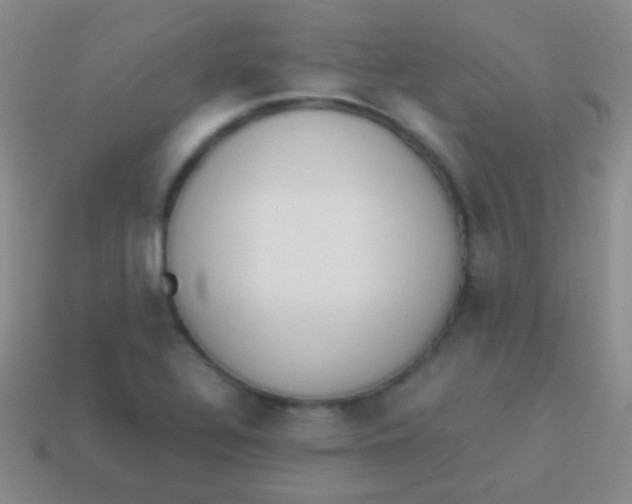 X0000114231320200910231455