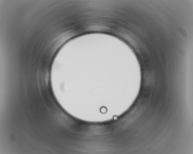 X0000114231322200910231455