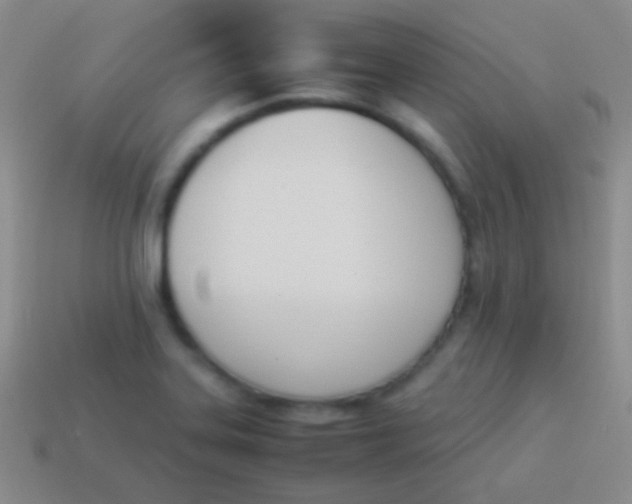 X0000114231323200910231455