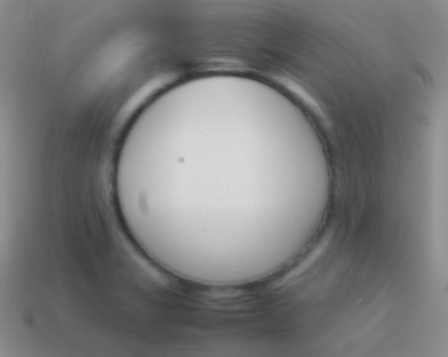 X0000114231325200910231455