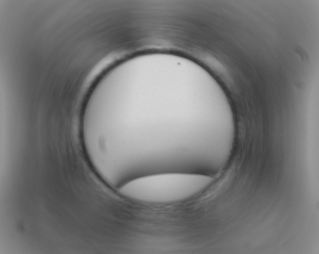 X0000114231326200910231455