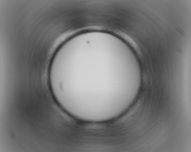 X0000114231327200910231455