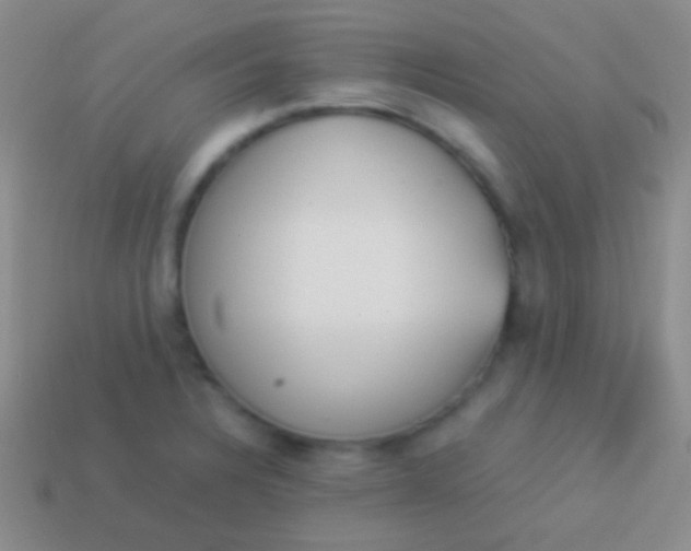 X0000114231328200910231455